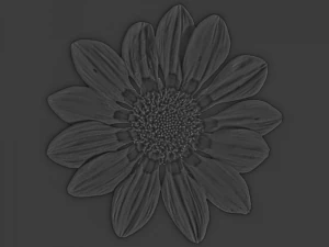 tekstur bunga 10 bungkus Tekstur CG