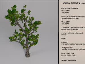 low poly fantasy game tree 03 Modèle 3D