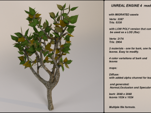 low poly fantasy game tree 05 Model 3D