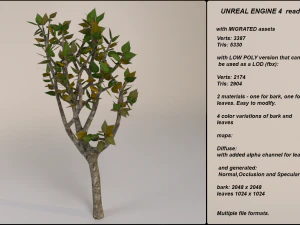low poly fantasy game tree 05 3D Model