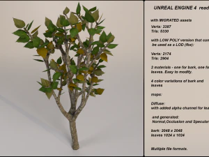 low poly fantasy game tree 05 3D Model