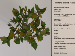 low poly fantasy game tree 05 3D Model