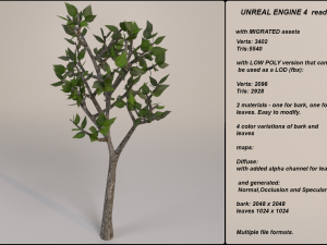 low poly fantasy game tree 06 Model 3D
