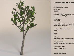low poly fantasy game tree 06 3D Model
