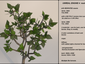 low poly fantasy game tree 06 Modelo 3D