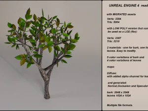 low poly fantasy game tree 10 3D Model