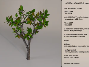 low poly fantasy game tree 10 3D Model