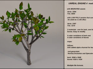 low poly fantasy game tree 10 3D Model