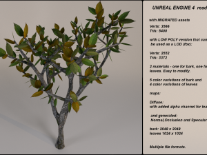 low poly fantasy game tree 11 Model 3D
