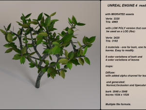 low poly fantasy game tree 12 3D Модель