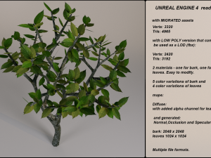 low poly fantasy game tree 12 3D Модель