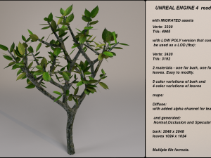 low poly fantasy game tree 12 3D Модель