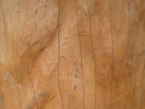 wood texture 10 pack game ready CG Texturen