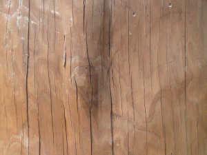 wood texture 10 pack game ready CG Texturen