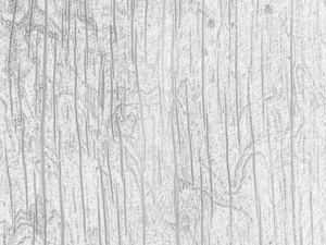 wood texture 10 pack game ready CG Texturen