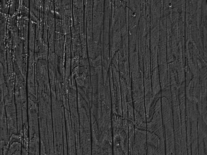 wood texture 10 pack game ready CG Texturen