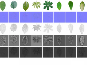 leaf texture 10 pack version 2 CG Textures