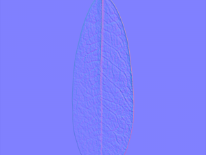 leaf texture 10 pack version 2 CG Textures