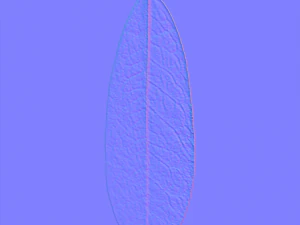 leaf texture 10 pack version 2 CG Textures