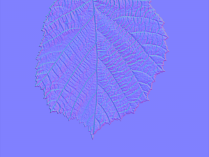 leaf texture 10 pack version 2 CG Textures