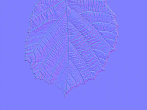 leaf texture 10 pack version 2 CG Textures