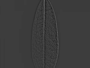 leaf texture 10 pack version 2 CG Textures