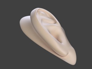 ear 3D Модель