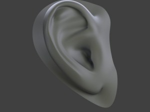 ear 3D Модель