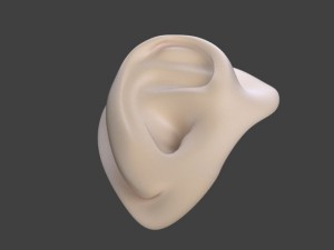 ear 3D Модель