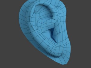 ear 3D Модель