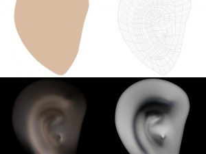ear 3D Модель