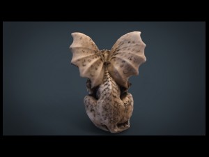 gargoyle Modèle 3D