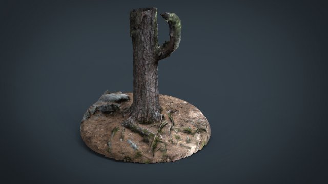 pine forest 3D Model .c4d .max .obj .3ds .fbx .stl .blend 