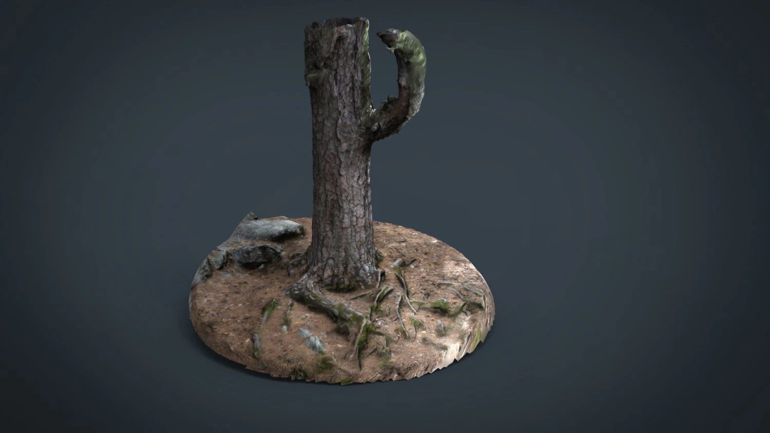 pine forest 3D Model .c4d .max .obj .3ds .fbx .stl .blend 