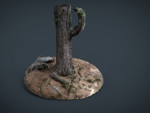 pine forest 3D-Modell