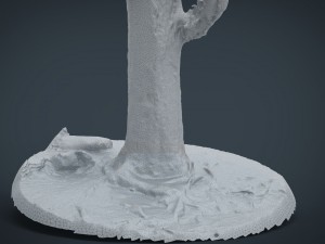 pine forest 3D Model