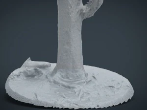 pine forest 3D Model