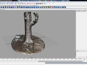 pine forest 3D Model