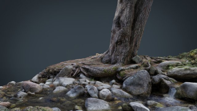 tree river 3D Model .c4d .max .obj .3ds .fbx .stl .blend 
