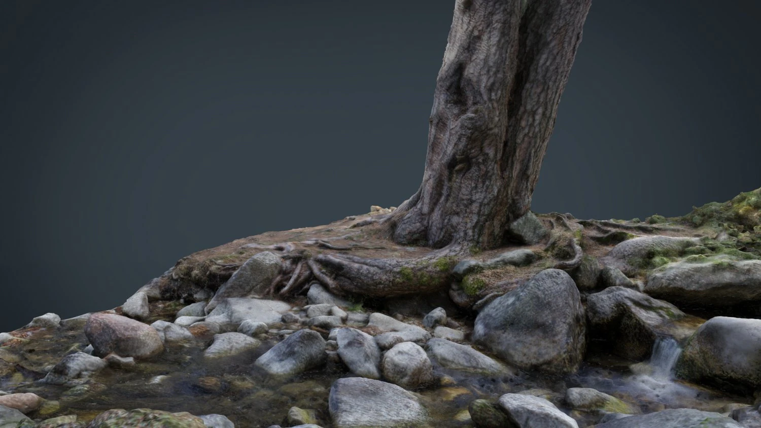 fiume dell'albero Modello 3D .c4d .max .obj .3ds .fbx .stl .blend 