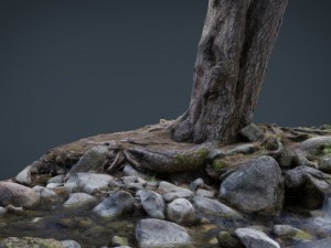 tree river 3D Модель