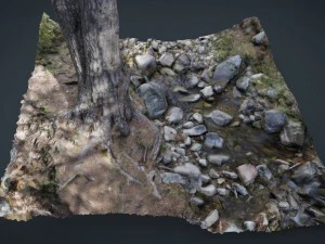 fiume dell'albero Modello 3D