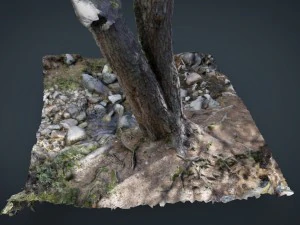 fiume dell'albero Modello 3D