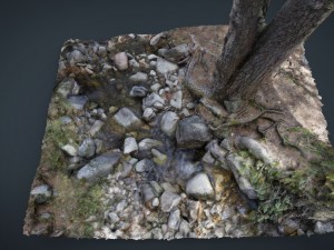 tree river 3D Model