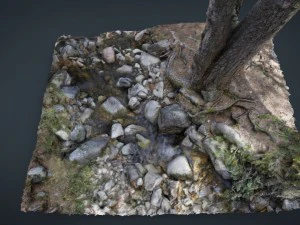 fiume dell'albero Modello 3D