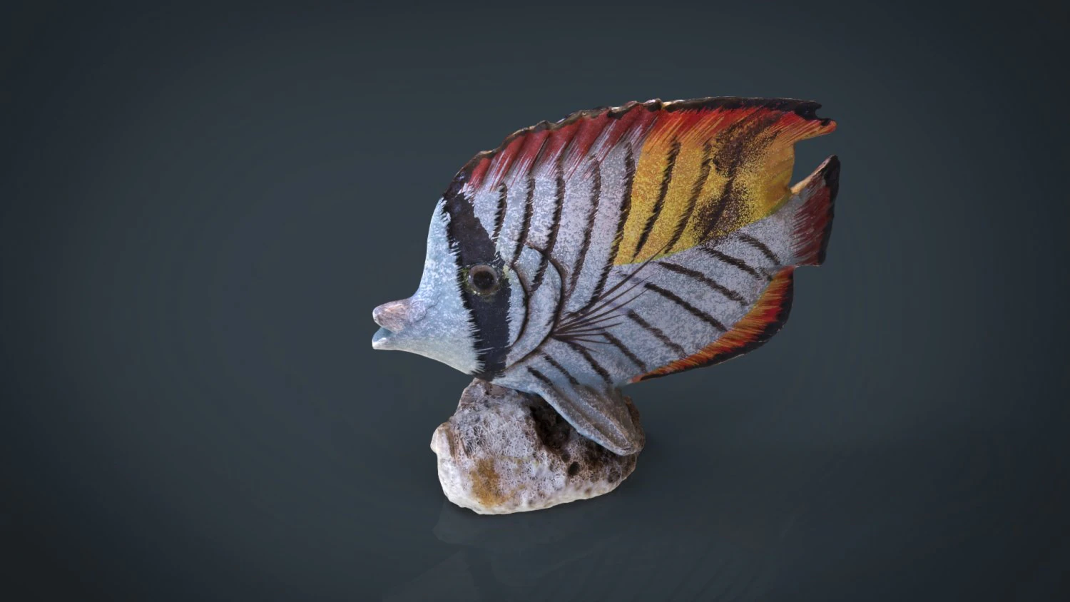 decorative fish 3D Model .c4d .max .obj .3ds .fbx .stl .blend 