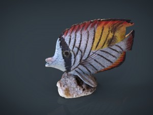 decorative fish 3D Модель