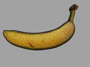 realistic banana 3D मॉडल