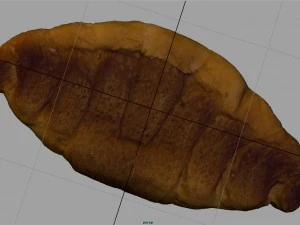 croissant realista Modelo 3D