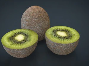 kiwi Model 3D